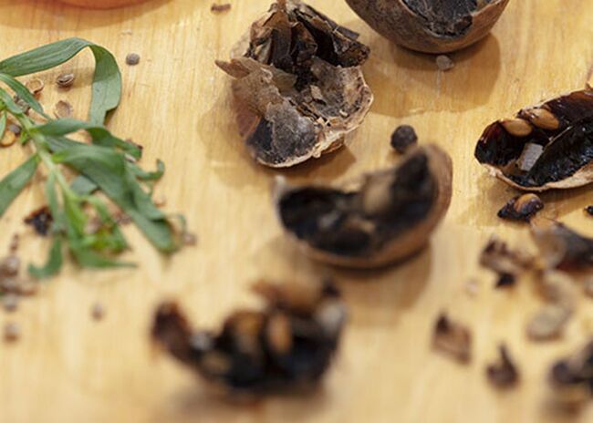 This a a picture of Herbal Citrus Salt, offered by Fromagination.