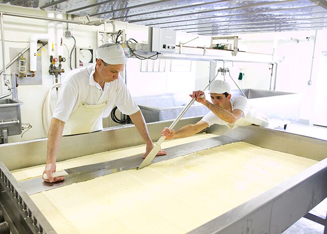 This is a picture of Uplands Cheese's Pleasant Ridge Reserve cheese, offered by Fromagination.